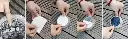 SOL-SD05_WW-4PCAD1.webp
