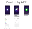 SM-CT-CINTAAD2.webp