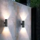 LEX-2152-10WX2-NGAD2.webp