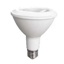 [PAR30-12W/6K] PAR30 110V  6000K CUELLO LARGO